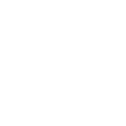 White iPad